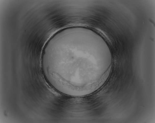 X0000093241236200710171433