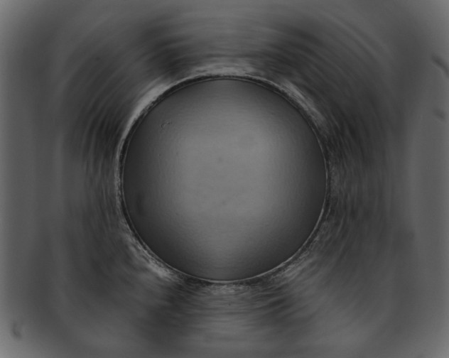 X0000093241240200710171433