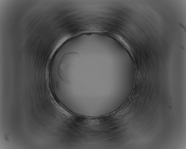 X0000093241243200710171433