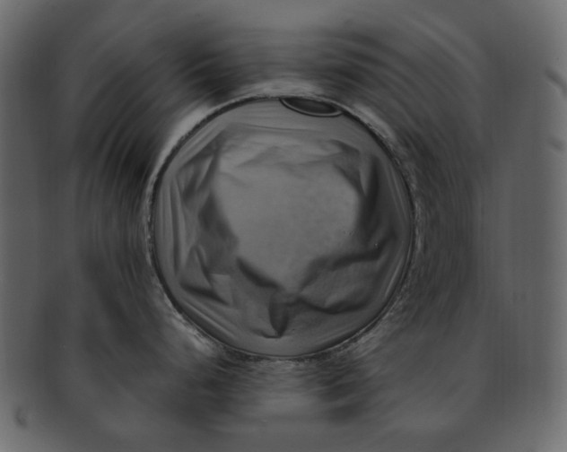 X0000093241248200710171433