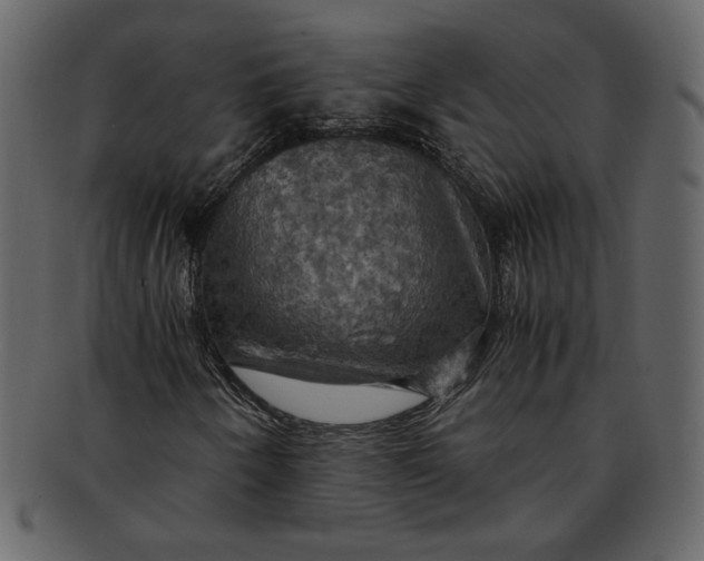 X0000093241250200710171433