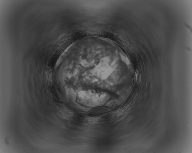 X0000093241251200710171433