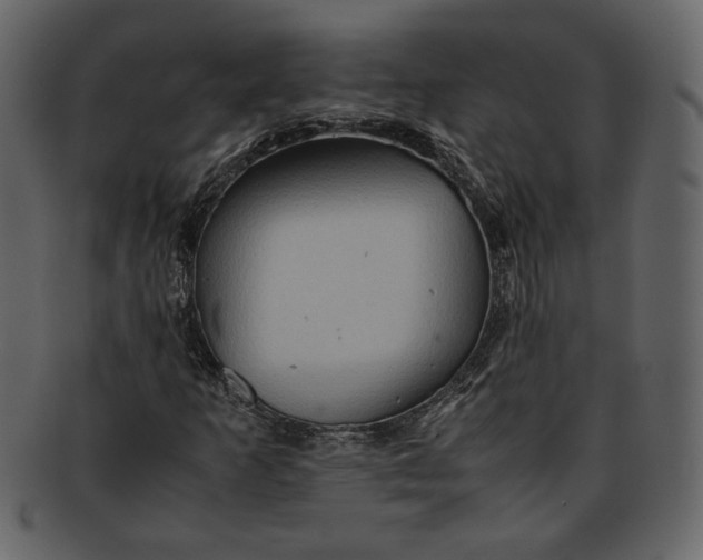 X0000093241253200710171433