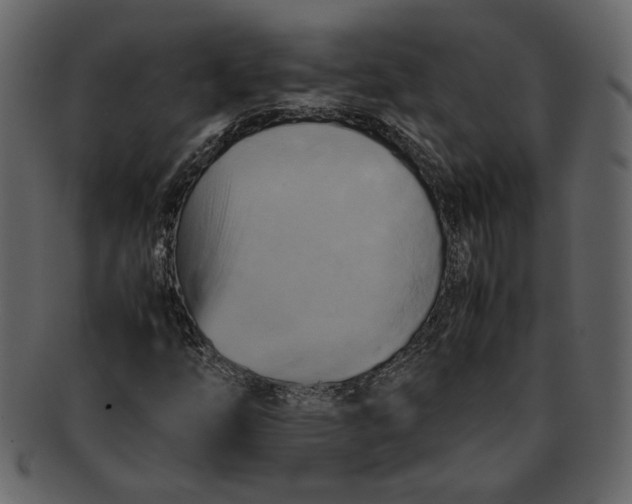 X0000093241254200710171433