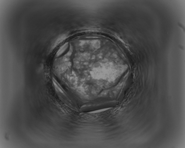 X0000093241255200710171433