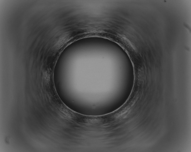 X0000093241257200710171433