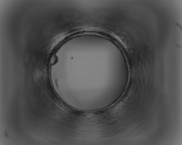 X0000093241263200710171432