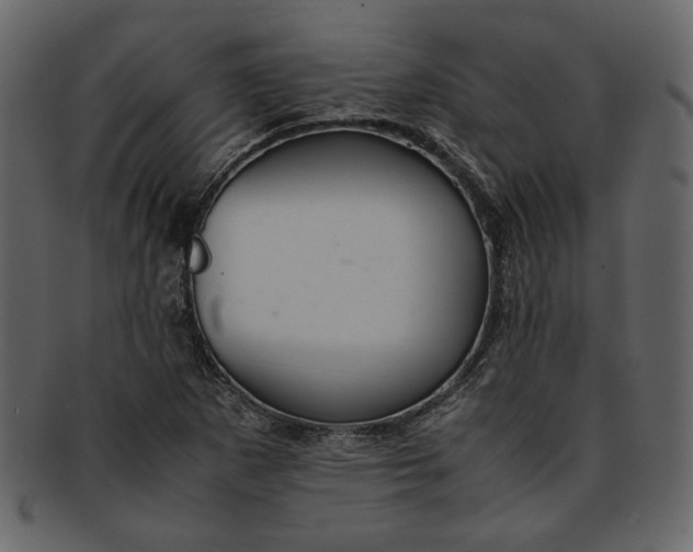 X0000093241265200710171432