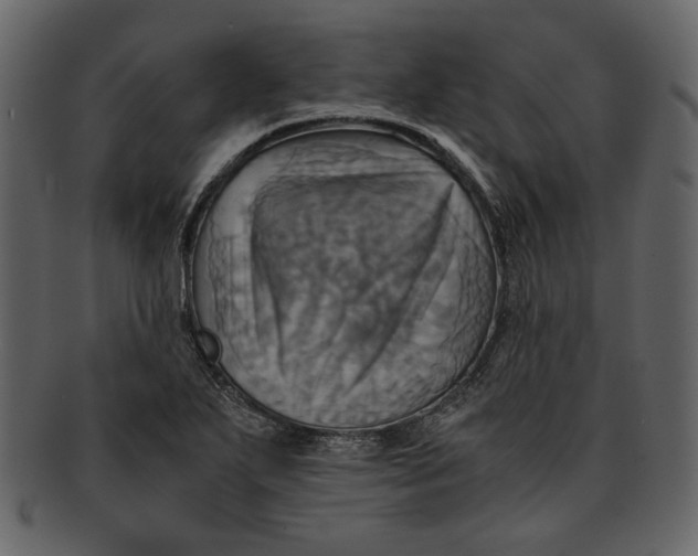 X0000093241271200710171432