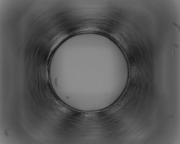 X0000093241274200710171432
