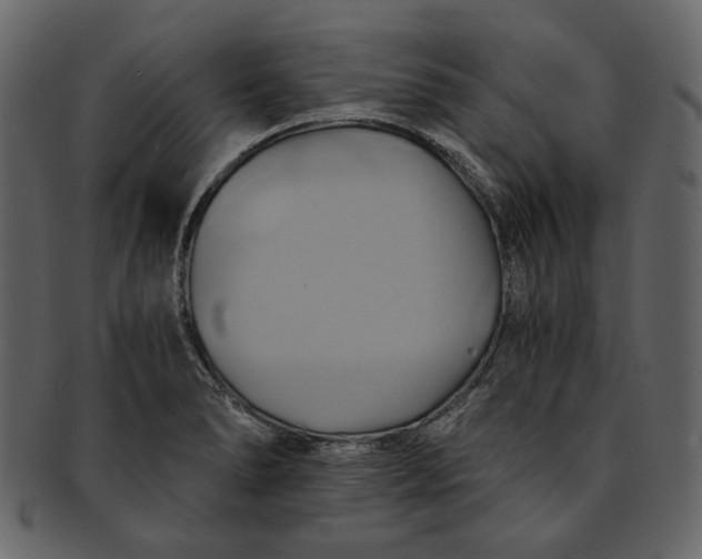 X0000093241278200710171432