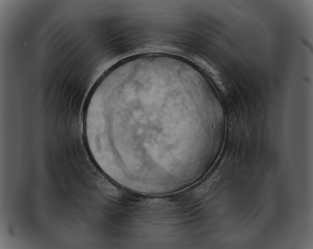 X0000093241280200710171432