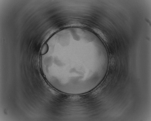 X0000093241282200710171432