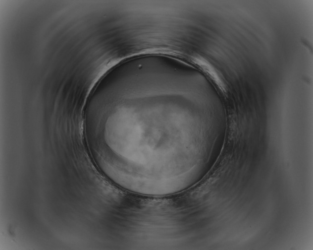 X0000093241284200710171432