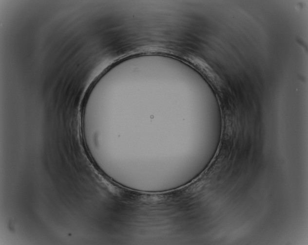 X0000093241286200710171432