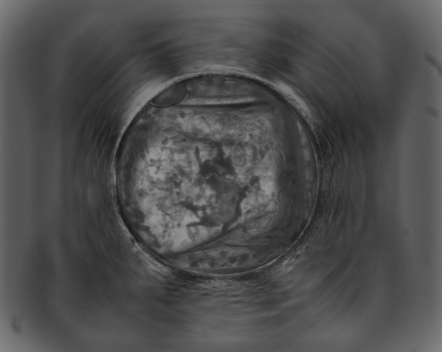 X0000093241287200710171432