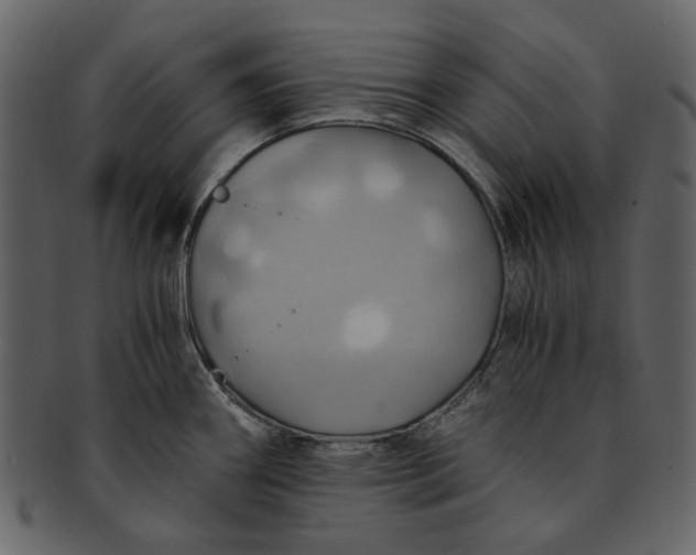 X0000093241290200710171432
