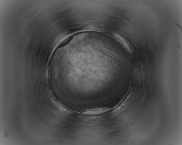 X0000093241292200710171432