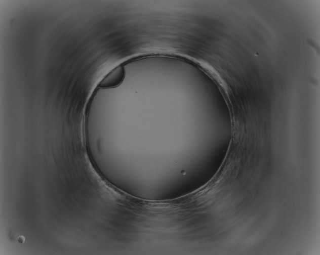 X0000093241295200710171432
