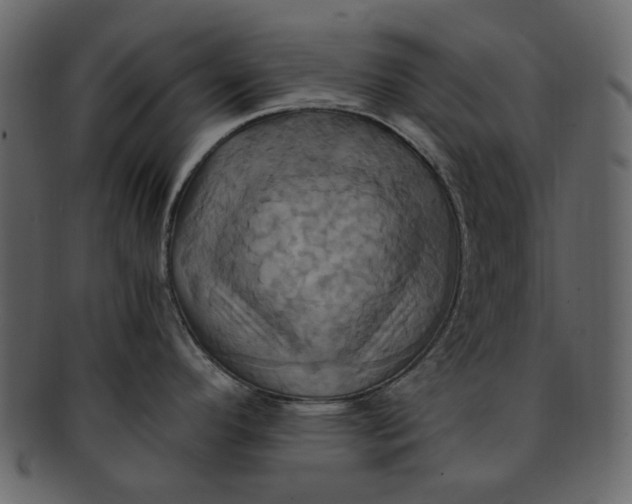 X0000093241296200710171432