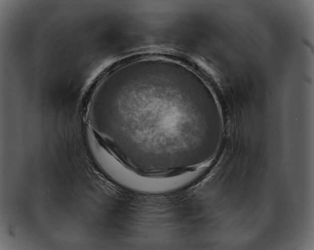 X0000093241310200710171432