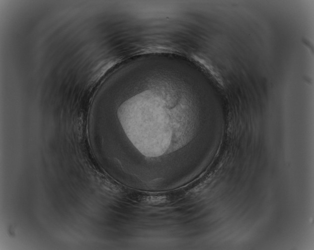 X0000093241313200710171432