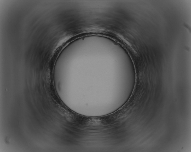 X0000093241315200710171432