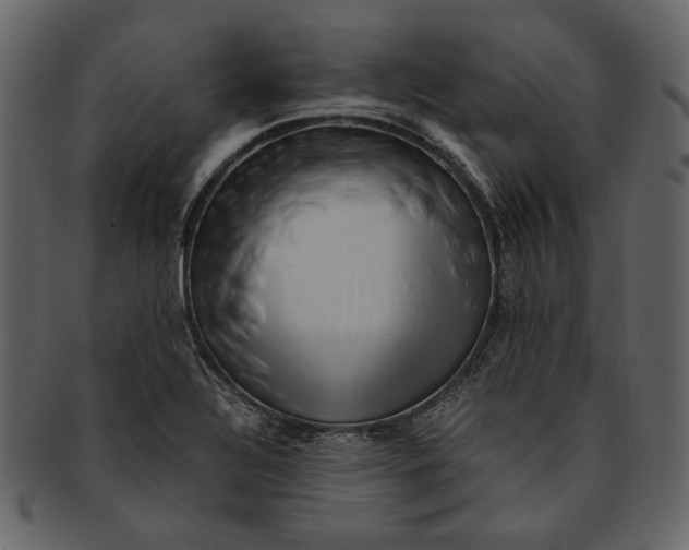 X0000093241320200710171432