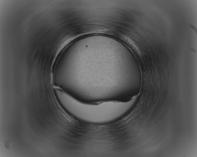 X0000093241324200710171432