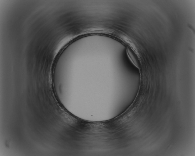 X0000093241328200710171432