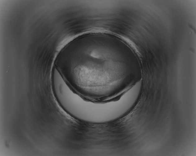 X0000093241335200710171432