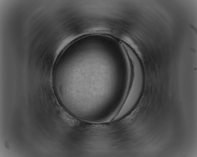 X0000093241336200710171432