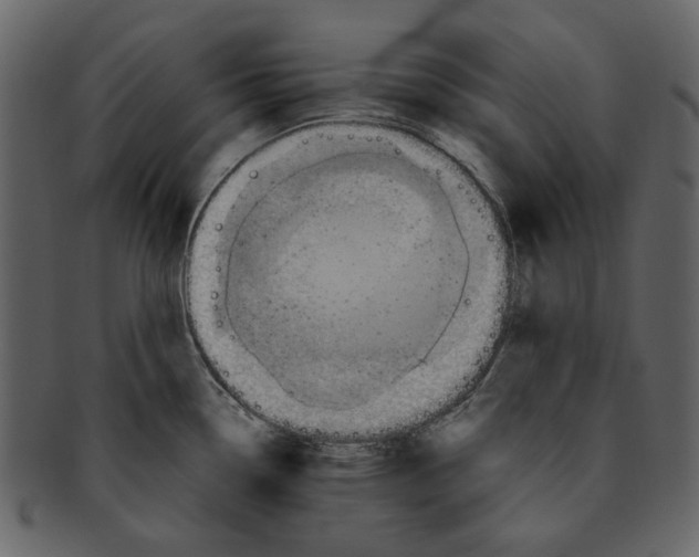 X0000093241338200710171432