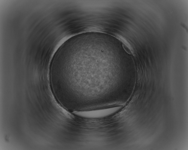 X0000093241339200710171432