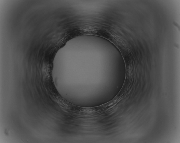 X0000093241346200710171431