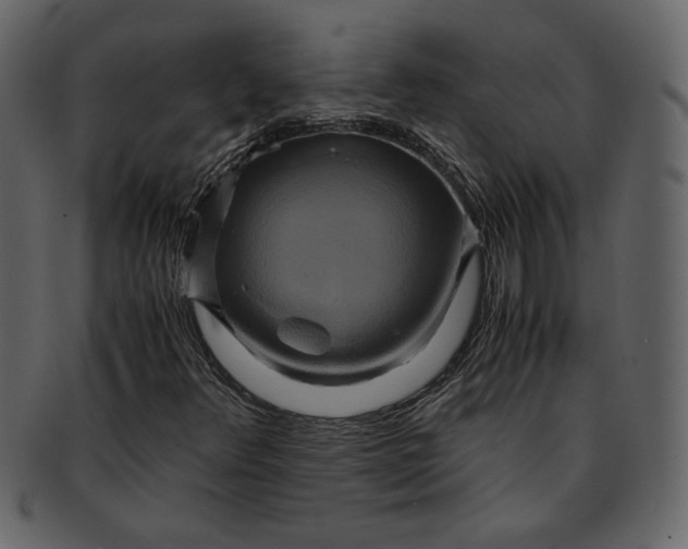 X0000093241348200710171431
