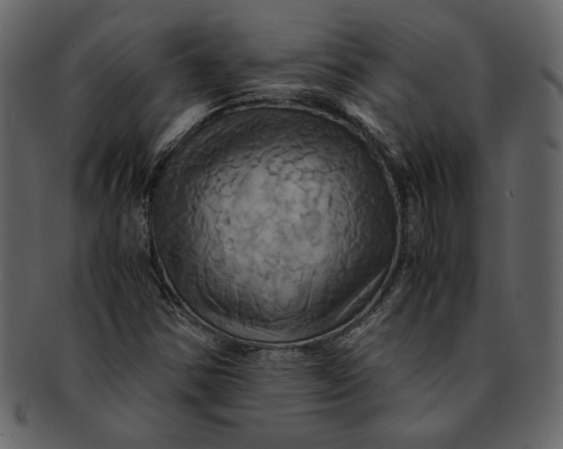 X0000093241354200710171431