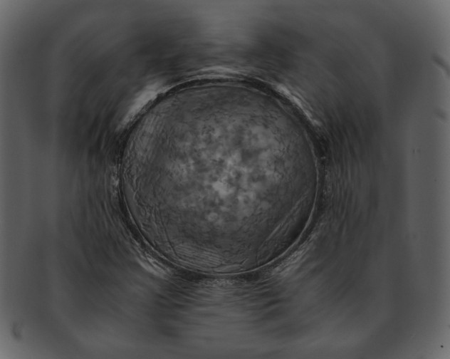 X0000093241355200710171431