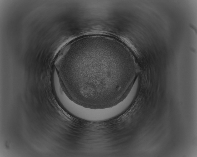 X0000093241356200710171431