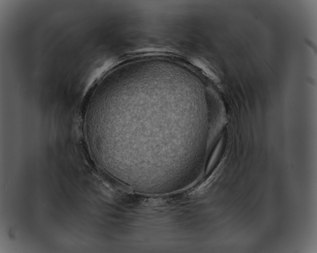 X0000093241357200710171431