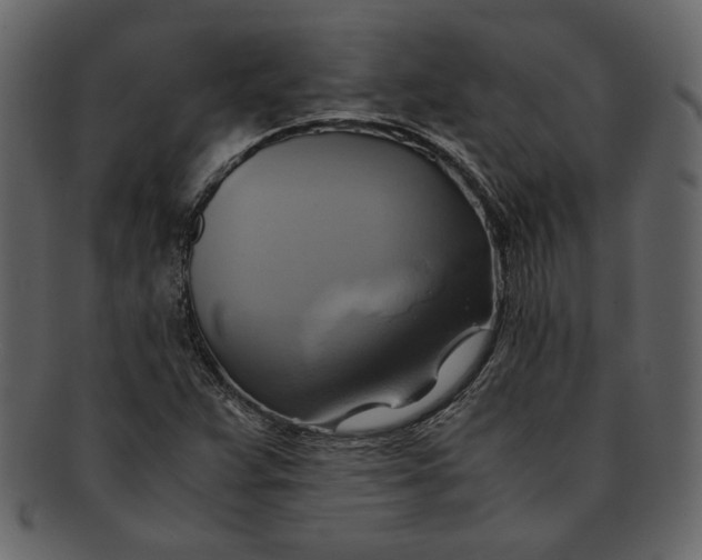 X0000093241359200710171431