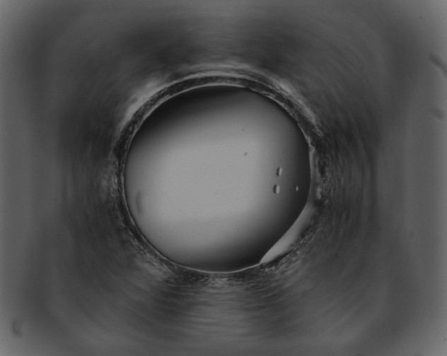 X0000093241360200710171431