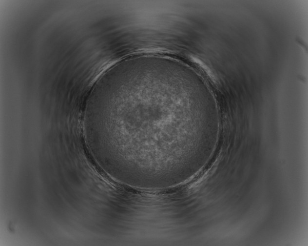 X0000093241361200710171431