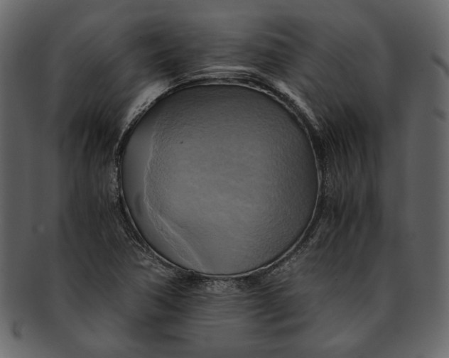 X0000093241362200710171431