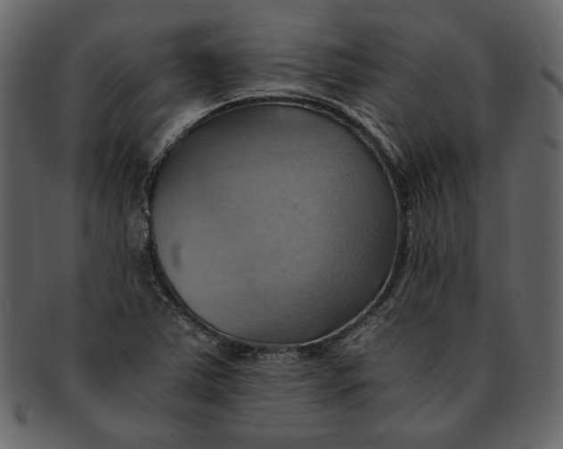 X0000093241363200710171431
