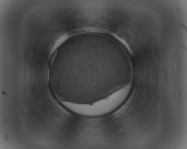X0000093241365200710171431