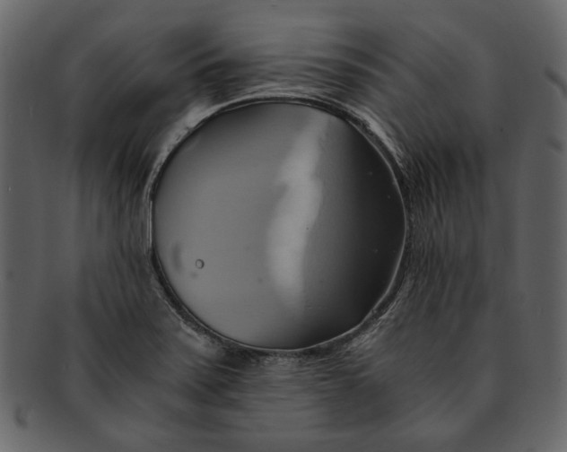 X0000093241371200710171431