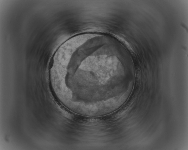 X0000093241375200710171431