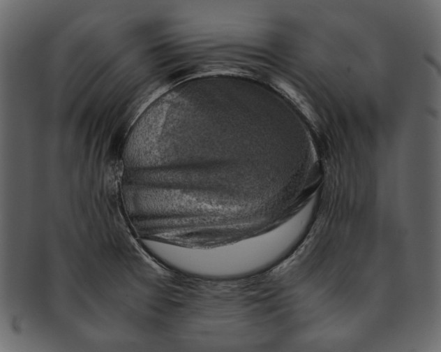 X0000093241377200710171431