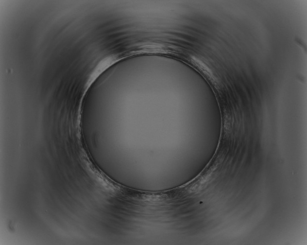 X0000093241378200710171431